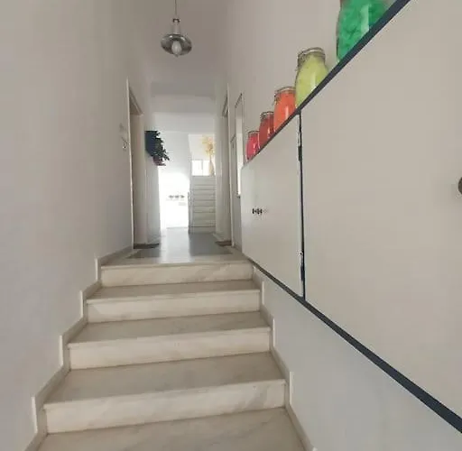 Spacious Family Garden