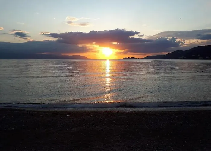 Spacious Family Garden