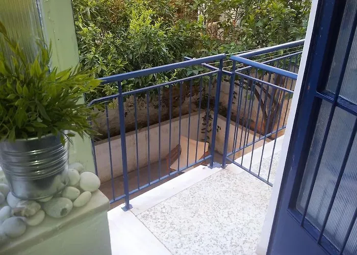 Spacious Family Garden